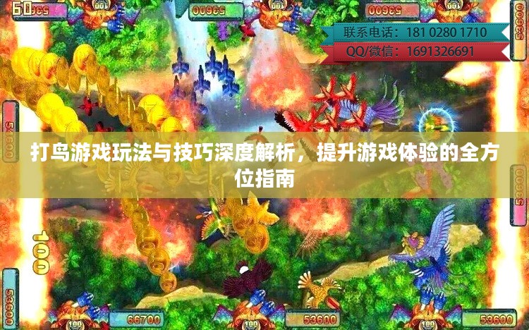 打鸟游戏玩法与技巧深度解析,提升游戏体验的全方位指南 打鸟游戏玩法与技巧深度解析,提升游戏体验的全方位指南