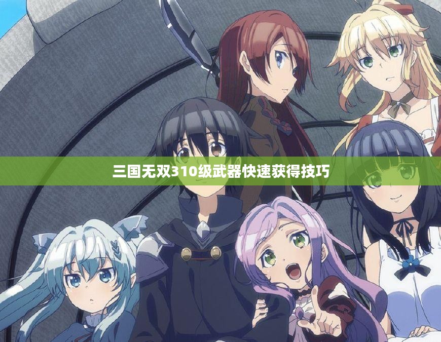 三国无双310级武器获取与战斗力提升攻略