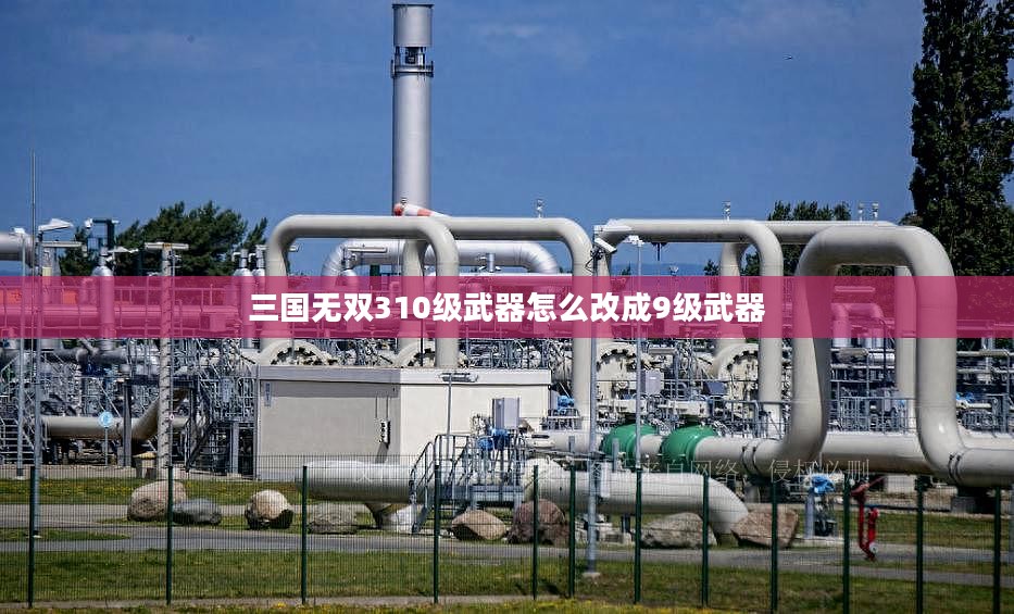 三国无双310级武器获取与战斗力提升攻略 三国无双310级武器获取与战斗力提升攻略