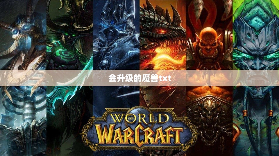 魔兽世界角色升级攻略:快速提升等级的全方位指南 魔兽世界角色升级攻略:快速提升等级的全方位指南