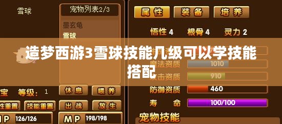 孙悟空雪球技能深度解析与实战技巧
