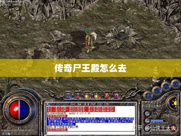 尸王殿探索指南:详细路径与技巧解析 尸王殿探索指南:详细路径与技巧解析