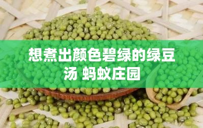 绿豆汤颜色碧绿的秘诀与技巧解析