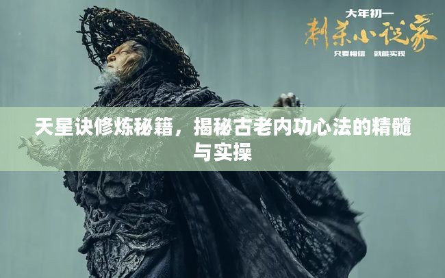 天星诀修炼秘籍，揭秘古老内功心法的精髓与实操