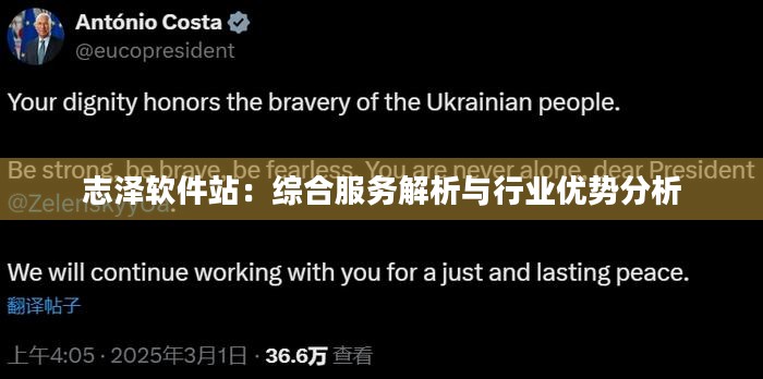 志泽软件站：综合服务解析与行业优势分析