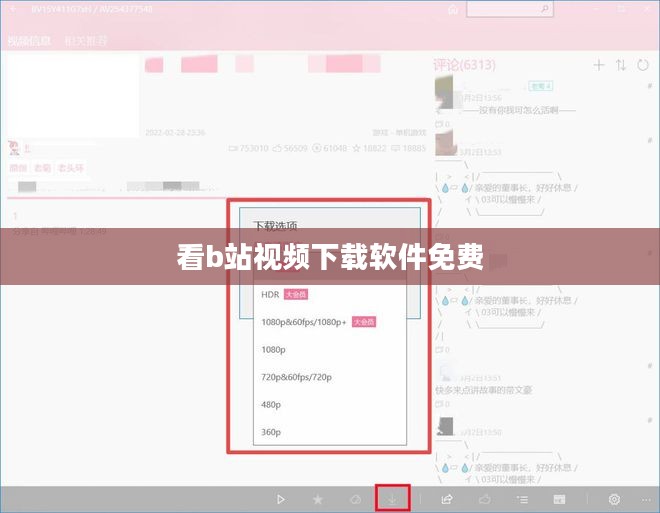 高效下载B站视频，选择合适软件的重要性