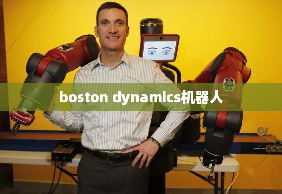 CS机器人：现代自动化与人工智能的关键技术解析