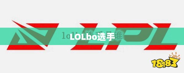LOLBox使用技巧与优势分析,提升游戏效率必备工具 LOLBox使用技巧与优势分析,提升游戏效率必备工具