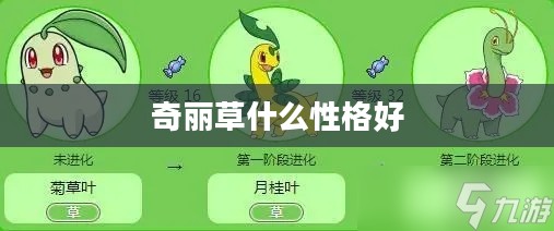 奇丽草种植与养护技巧全解析 奇丽草种植与养护技巧全解析