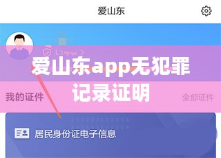 爱山东App功能特点与用户体验优化策略解析