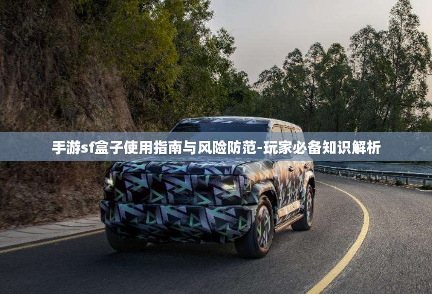 手游sf盒子使用指南与风险防范-玩家必备知识解析