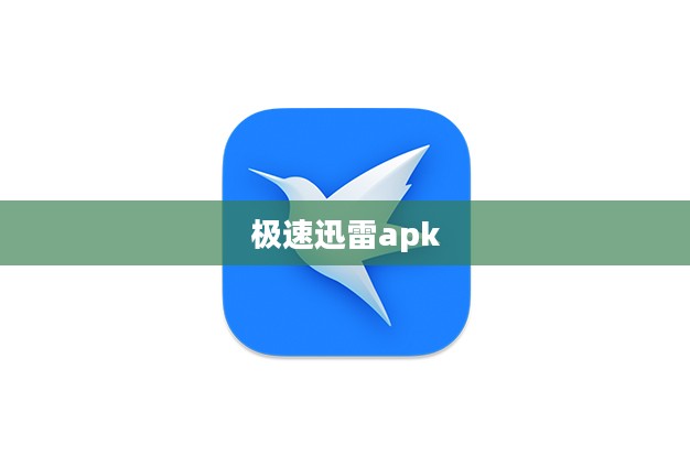 极速迅雷下载软件优化攻略,提升下载速度与效率 极速迅雷下载软件优化攻略,提升下载速度与效率