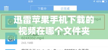 迅雷苹果手机下载app全攻略：安全与速度的双重保障