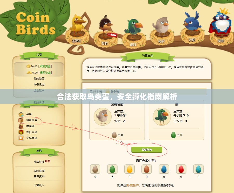 合法获取鸟类蛋，安全孵化指南解析