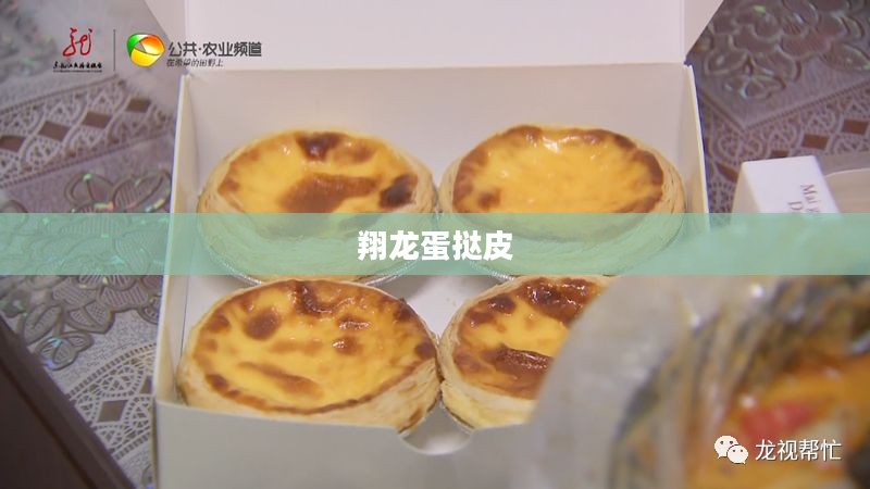翔龙蛋的营养价值与烹饪技巧深度解析