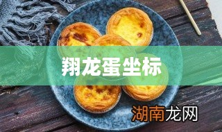 翔龙蛋的营养价值与烹饪技巧深度解析 翔龙蛋的营养价值与烹饪技巧深度解析