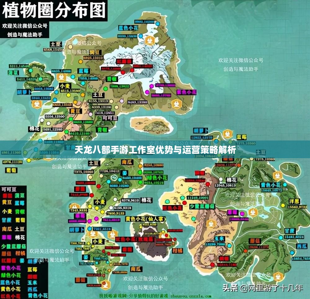 天龙八部手游工作室优势与运营策略解析 天龙八部手游工作室优势与运营策略解析