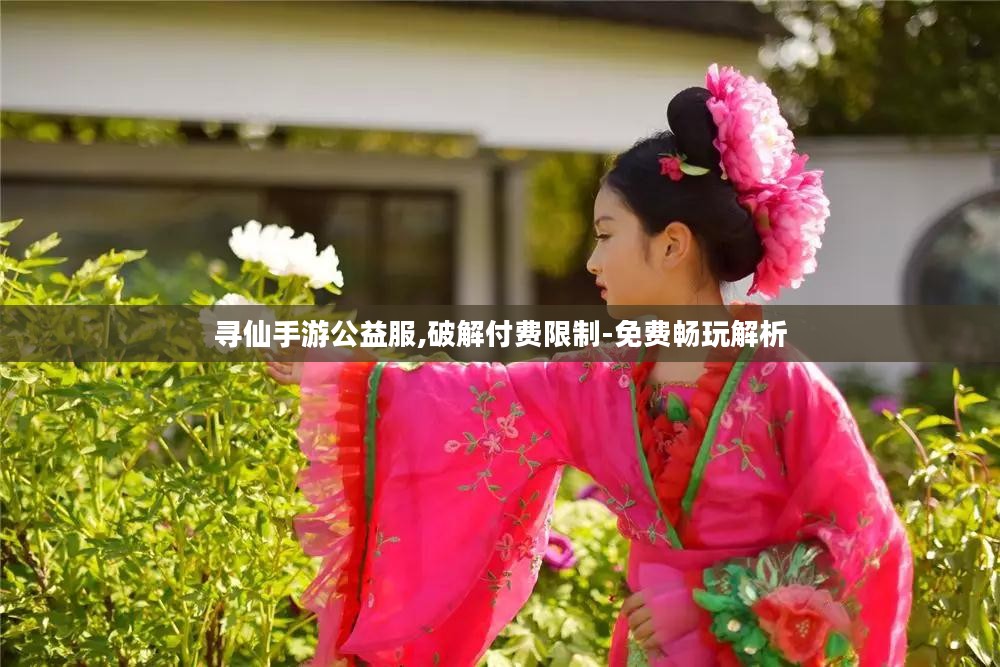 寻仙手游公益服,破解付费限制-免费畅玩解析 寻仙手游公益服,破解付费限制-免费畅玩解析