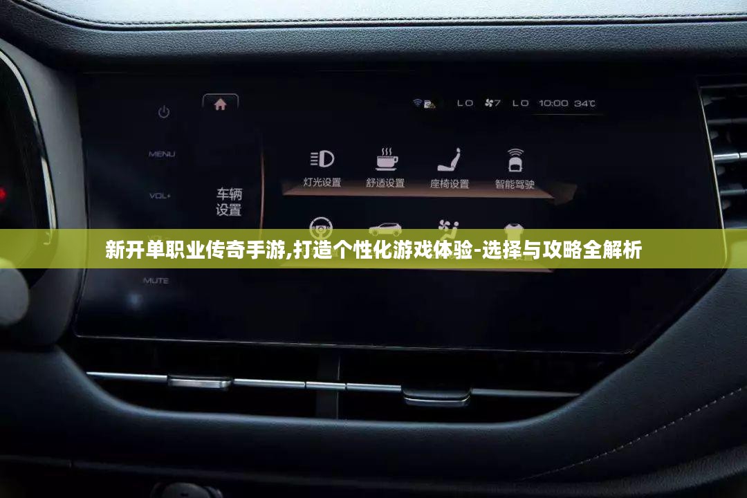 新开单职业传奇手游,打造个性化游戏体验-选择与攻略全解析