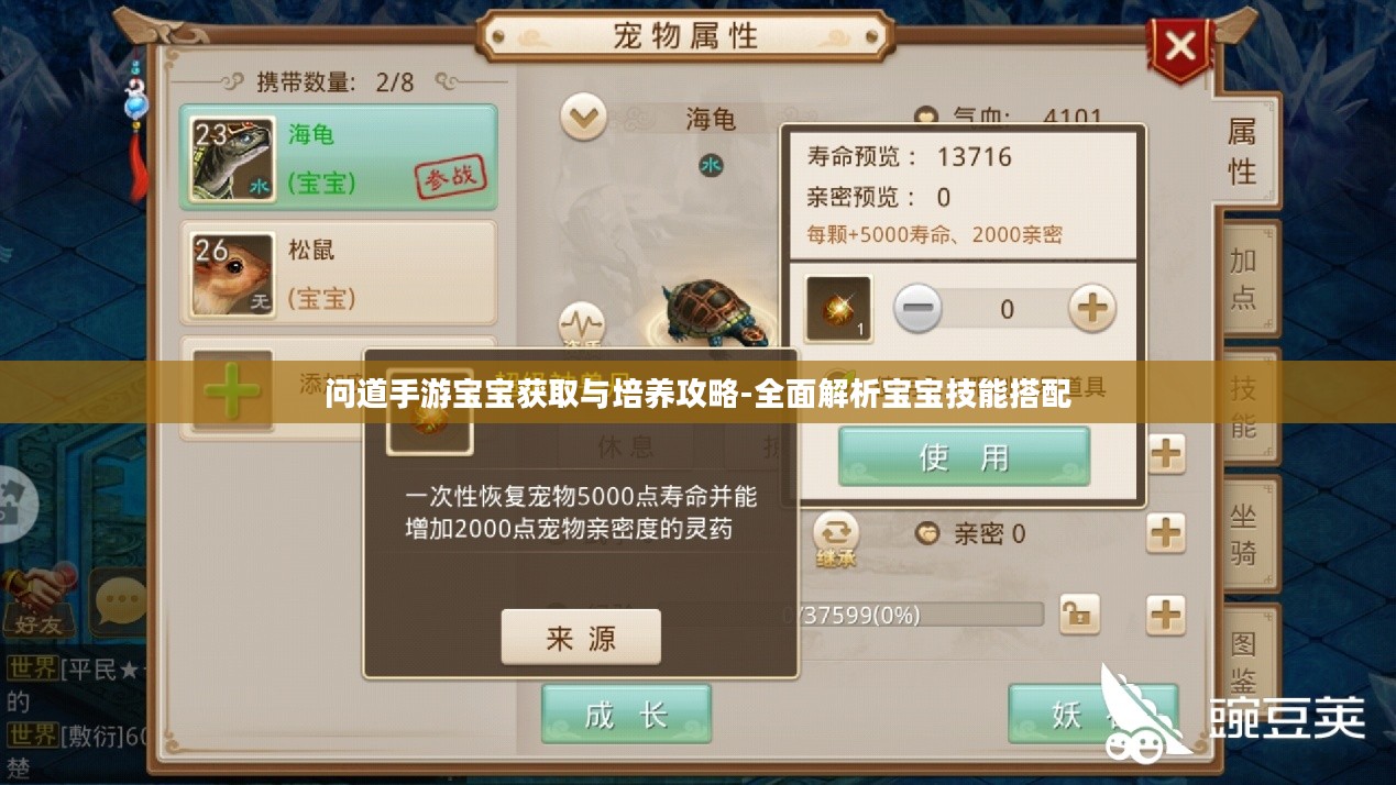 问道手游宝宝获取与培养攻略-全面解析宝宝技能搭配