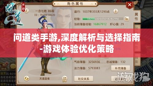问道类手游,深度解析与选择指南-游戏体验优化策略