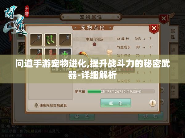 问道手游宠物进化,提升战斗力的秘密武器-详细解析