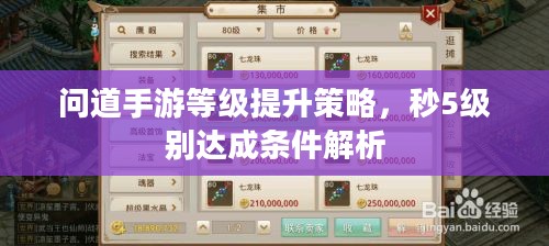 问道手游等级提升策略，秒5级别达成条件解析