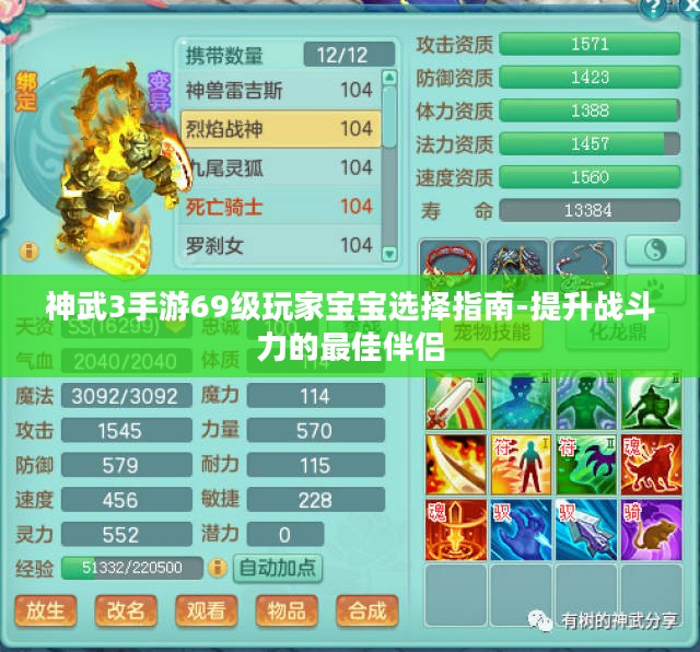 神武3手游69级玩家宝宝选择指南-提升战斗力的最佳伴侣 神武3手游69级玩家宝宝选择指南-提升战斗力的最佳伴侣