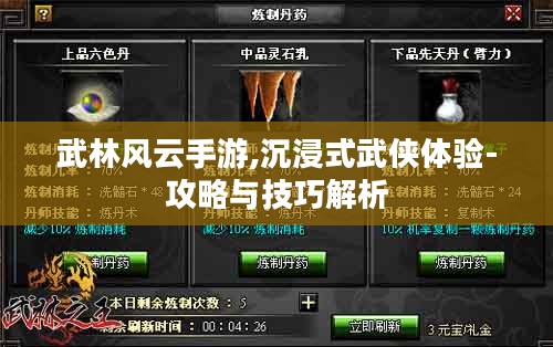 武林风云手游,沉浸式武侠体验-攻略与技巧解析