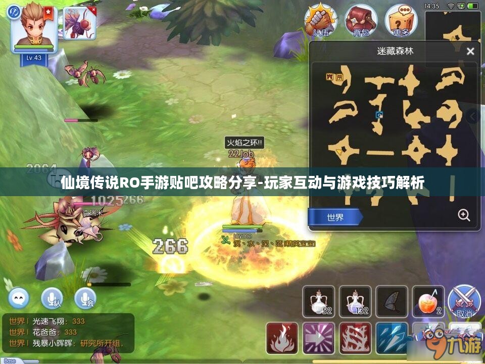 仙境传说RO手游贴吧攻略分享-玩家互动与游戏技巧解析