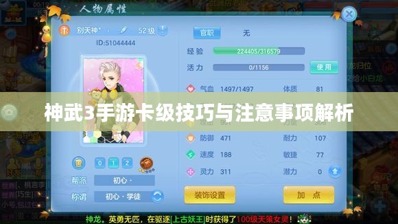 神武3手游卡级技巧与注意事项解析