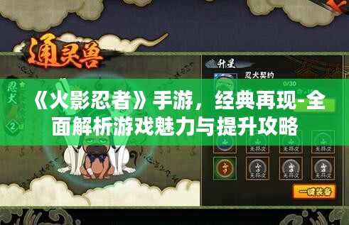 《火影忍者》手游，经典再现-全面解析游戏魅力与提升攻略