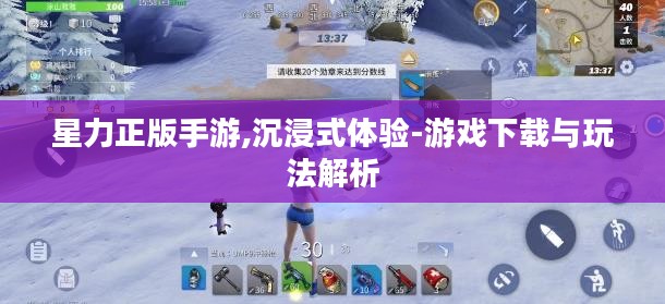 星力正版手游,沉浸式体验-游戏下载与玩法解析
