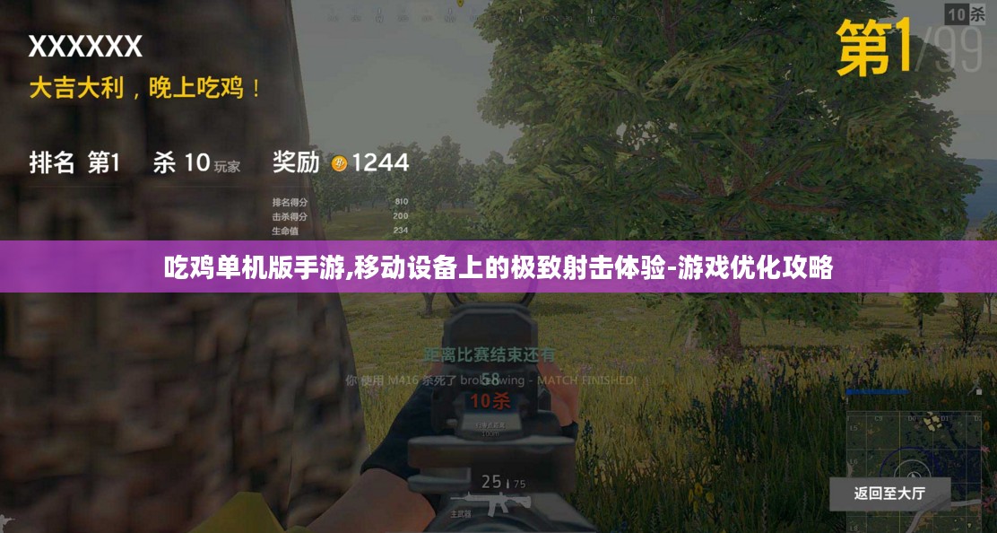 吃鸡单机版手游,移动设备上的极致射击体验-游戏优化攻略