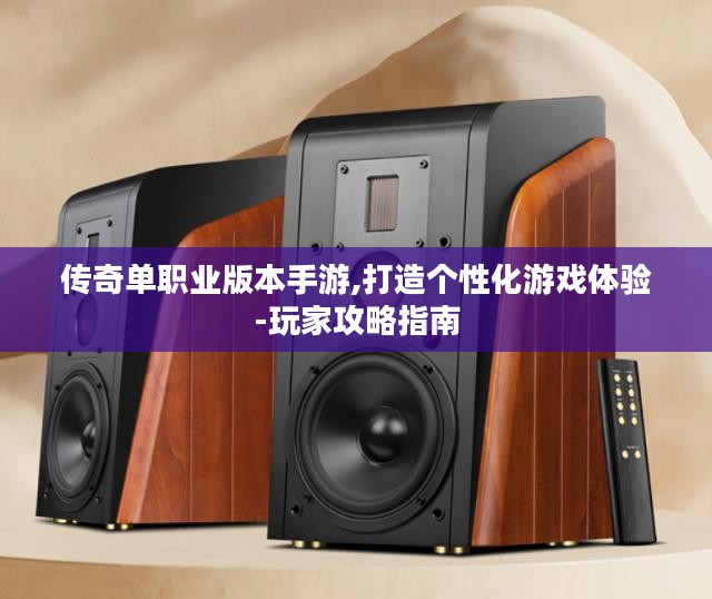 传奇单职业版本手游,打造个性化游戏体验-玩家攻略指南