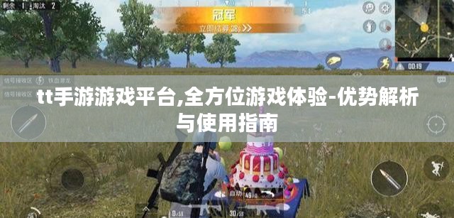 tt手游游戏平台,全方位游戏体验-优势解析与使用指南