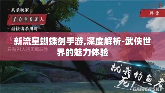 新流星蝴蝶剑手游,深度解析-武侠世界的魅力体验 新流星蝴蝶剑手游,深度解析-武侠世界的魅力体验