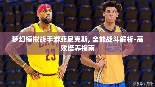 梦幻模拟战手游菲尼克斯, 全能战斗解析-高效培养指南