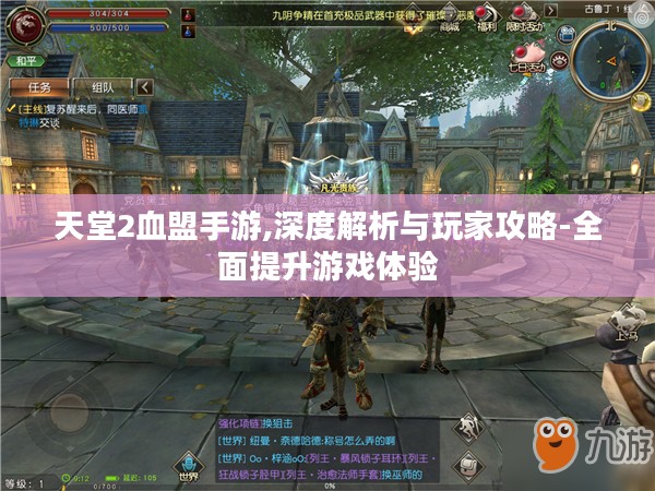 天堂2血盟手游,深度解析与玩家攻略-全面提升游戏体验