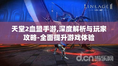 天堂2血盟手游,深度解析与玩家攻略-全面提升游戏体验 天堂2血盟手游,深度解析与玩家攻略-全面提升游戏体验