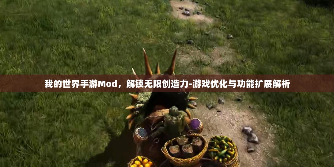 我的世界手游Mod，解锁无限创造力-游戏优化与功能扩展解析