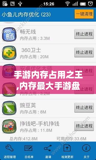 手游内存占用之王,内存最大手游盘点-性能与优化解析