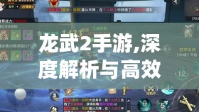 龙武2手游,深度解析与高效攻略-玩家必备指南