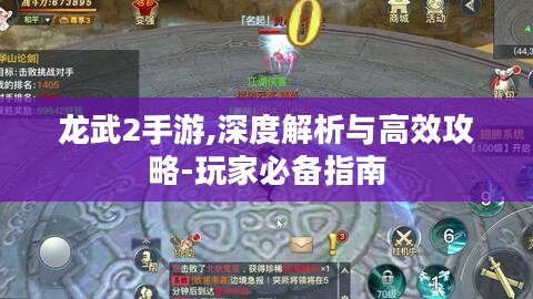 龙武2手游,深度解析与高效攻略-玩家必备指南