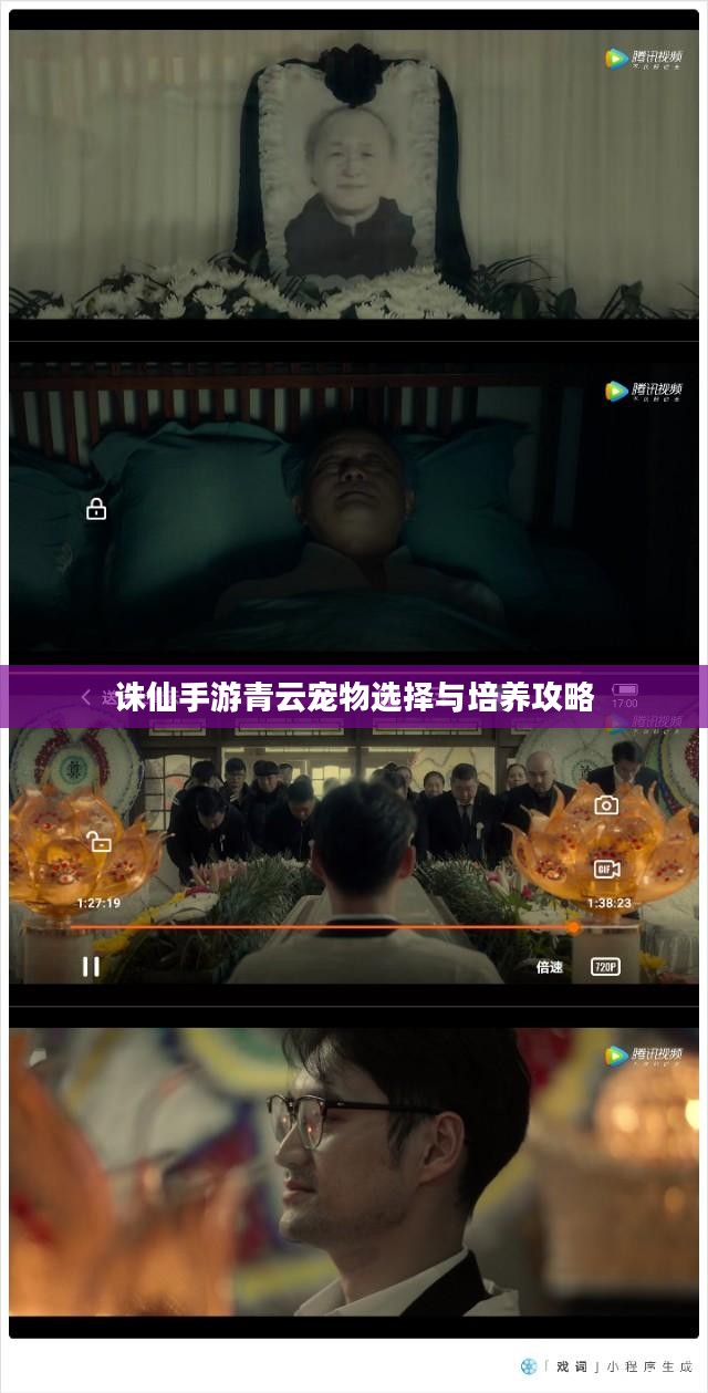 诛仙手游青云宠物选择与培养攻略