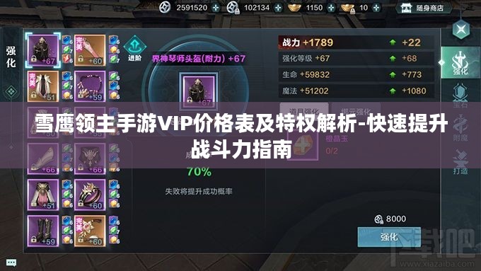 雪鹰领主手游VIP价格表及特权解析-快速提升战斗力指南 雪鹰领主手游VIP价格表及特权解析-快速提升战斗力指南