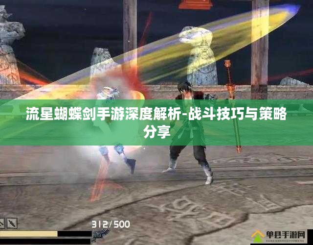流星蝴蝶剑手游深度解析-战斗技巧与策略分享