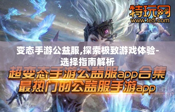 变态手游公益服,探索极致游戏体验-选择指南解析