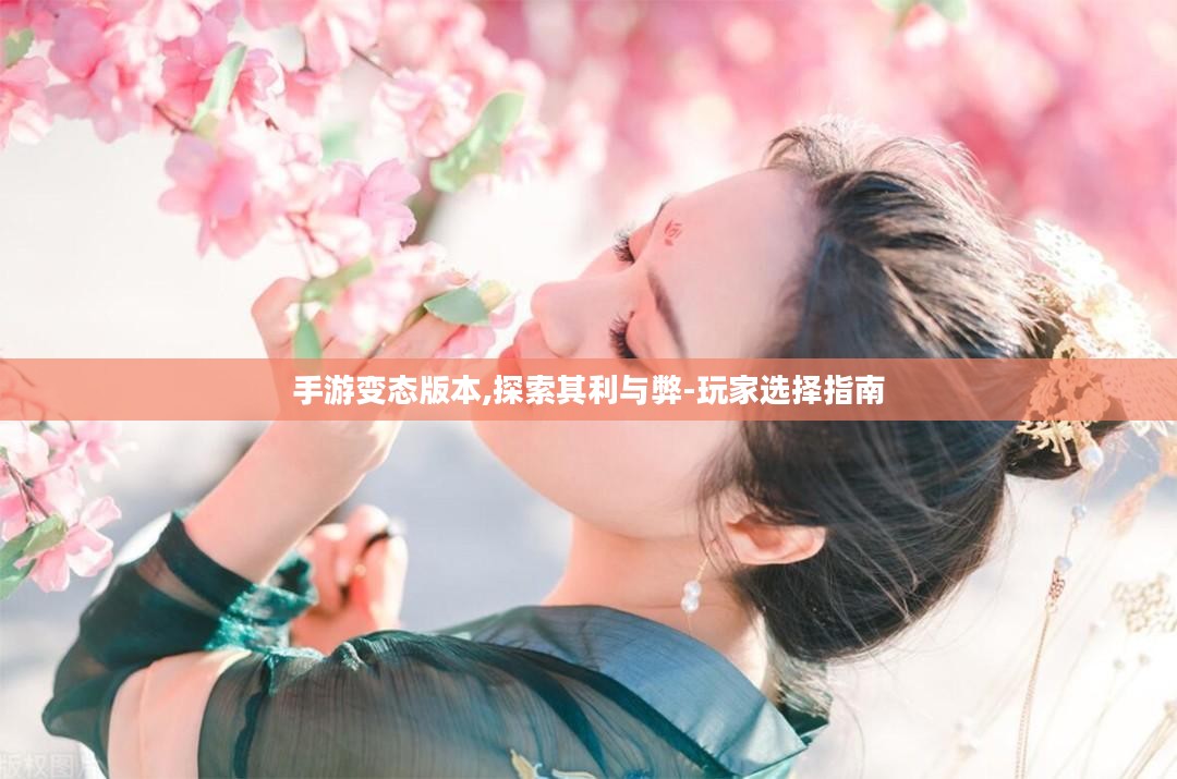 手游变态版本,探索其利与弊-玩家选择指南