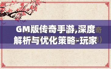 GM版传奇手游,深度解析与优化策略-玩家必备指南